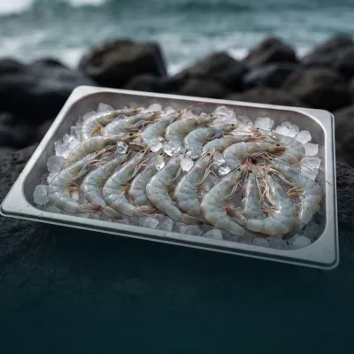 Camarón Crudo